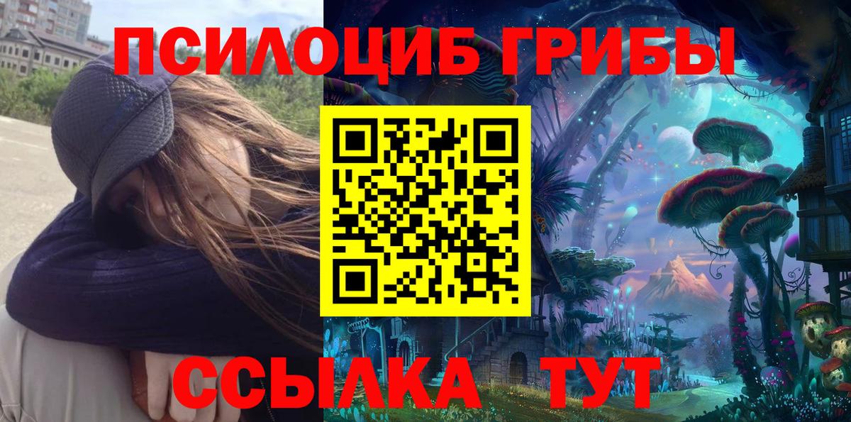 Орёл  Псилоцибиновые грибы Psilocybe  Вход с VPN 