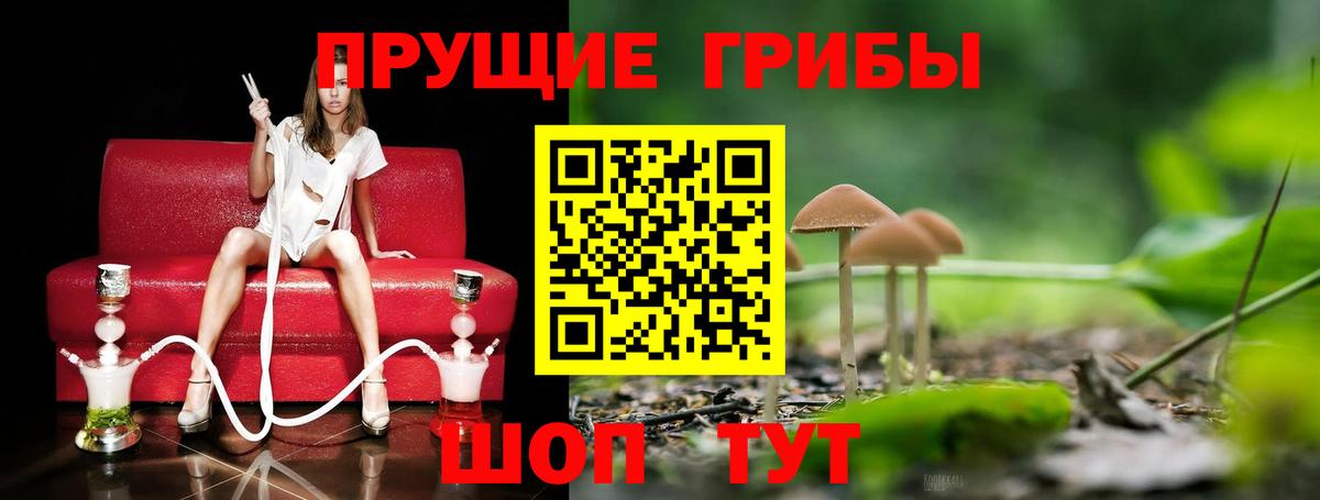 Галлюциногенные грибы мухоморы Орёл